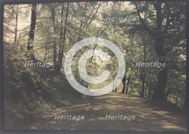 Untitled [path through a forest], c. 1880.  Creator: Unknown.