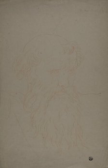 Head of a Bearded Man, 1700/1799. Creator: After Raffaello Sanzio, called Raphael  Italian, 1483-1528.