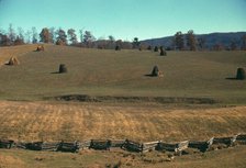 Field of a mountain farm along the Skyline Drive in Virginia, ca. 1940. Creator: Jack Delano.