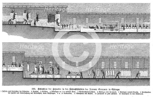 Armour Company's pig slaughterhouse, Chicago, Illinois, USA, 1895. Artist: Unknown