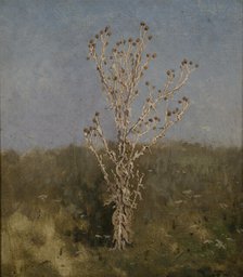 Carduus (plumeless thistles), 1885. Creator: Jan Stanislawski.