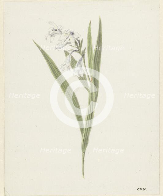 Fresia, 1741-1795. Creator: Cornelis van Noorde.