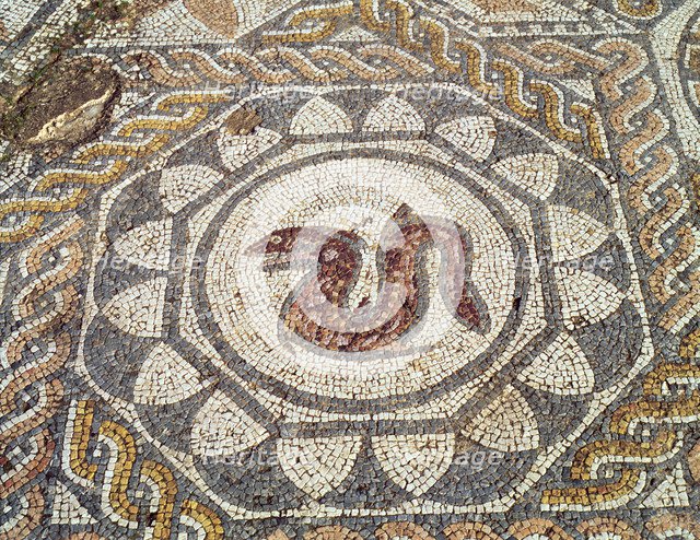 Mosaic in the Amphitheatre house representing a snake, preserved in the archaeological site of Me…