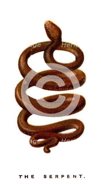 The Serpent, 1923. Artist: Unknown