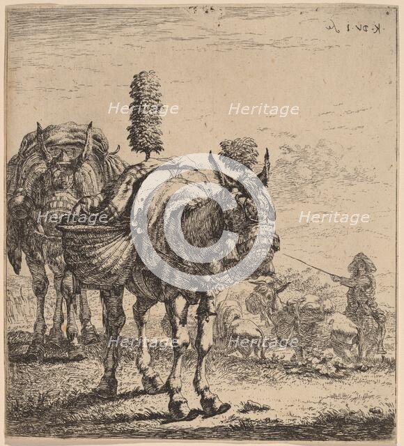 Two Mules. Creator: Karel Du Jardin.