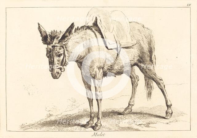 Mulet (Mule or Saddled Donkey). Creator: Jacques Philippe Le Bas.