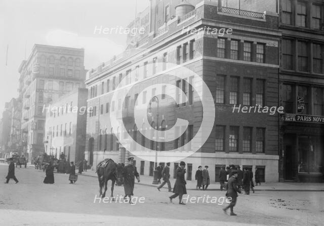 Hospital of N.Y. Women's League for Animals, 1914. Creator: Bain News Service.