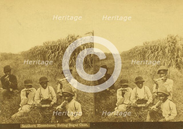 Southern blessedness, eating sugar cane, (1868-1900?). Creator: Unknown.
