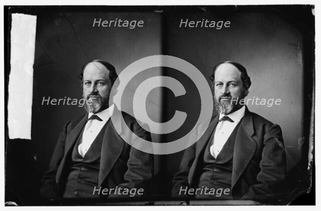 Lowe, Hon. David Perly of Kansas, between 1860 and 1870. Creator: Unknown.