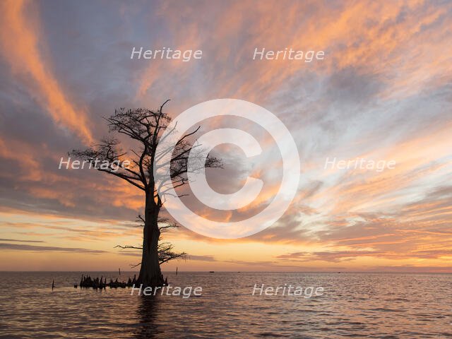 Holy Ground. Creator: Eve Turek.