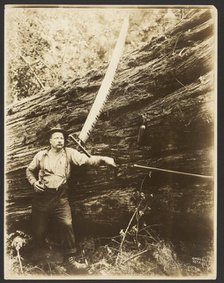 Logger and felled tree, about 1910-1945. Creator: Darius Kinsey.