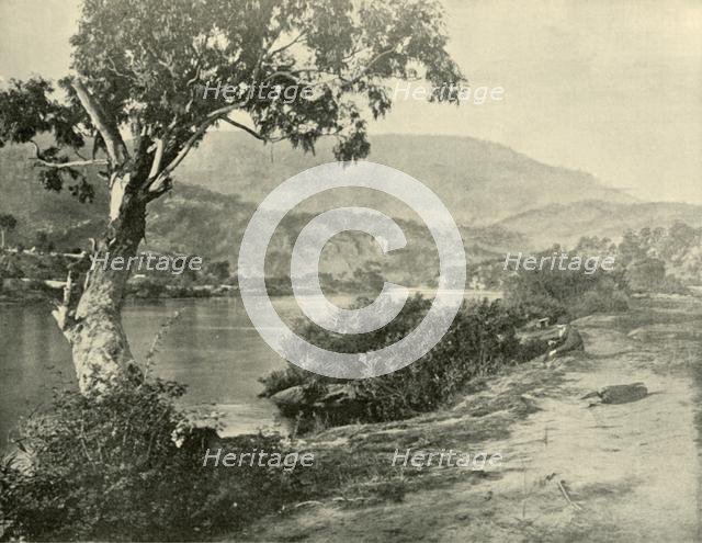 'The Derwent at New Norfolk', 1901. Creator: Unknown.