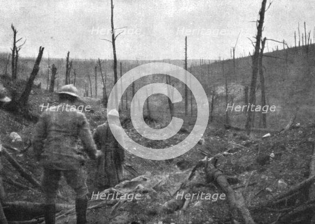 'La reprise du bois de la Caillette; Dans le ravin de la Caillette : au fond, le bois de..., 1916. Creator: Unknown.