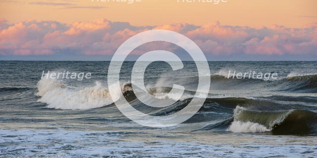 Wondrous Sea. Creator: Eve Turek.