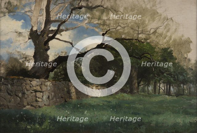 Landscape at Torsebro, near Kristianstad, 1884. Creator: Gustaf Rydberg.