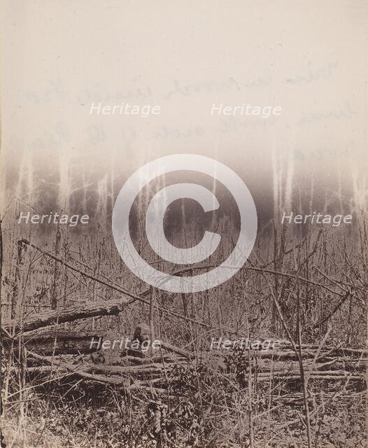 The Wilderness Battlefield, 1864. Creator: Unknown.