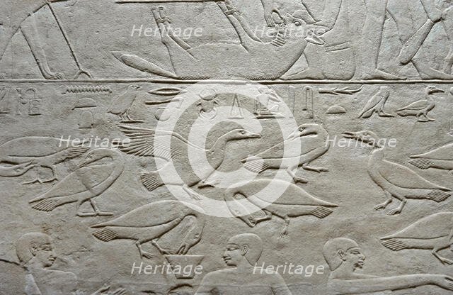 Geese relief, Mastaba of Kagemni, Saqqara, Egypt, Old Kingdom, 6th Dynasty, 2350 BC (2003). Creator: Unknown.