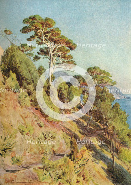 'In the Villa Piuma, Sestri Levante', c1910, (1912). Artist: Walter Frederick Roofe Tyndale.