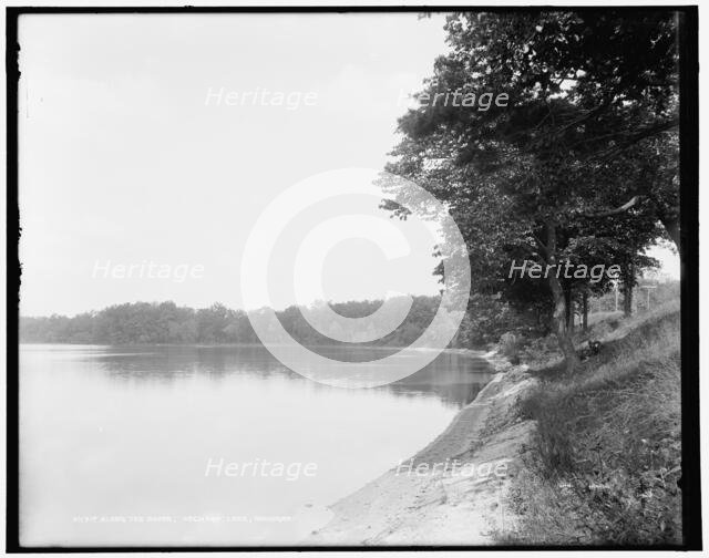 Along the shore, Orchard Lake, Michigan, between 1890 and 1901. Creator: Unknown.