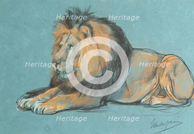 A Black-Maned African Lion. Creator: John MacAllan Swan.