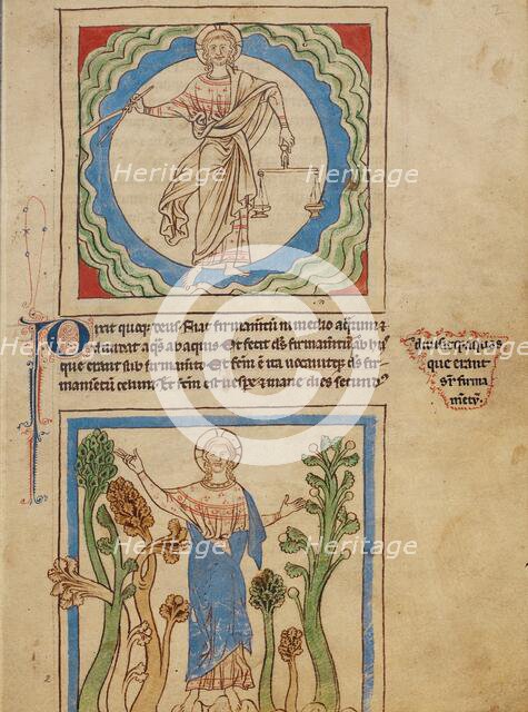 The Creation of Heaven and Earth: The Creation of the Trees; Northumberland Bestiary, about 1250-60. Creator: Unknown.