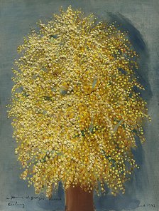 Mimosas, 1942. Creator: Kisling, Moïse (1891-1953).