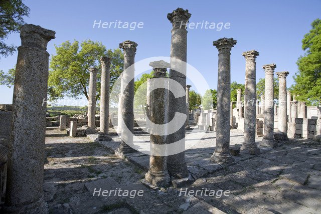 The Schola of the Juvenes, Mactaris, Tunisia. Artist: Samuel Magal