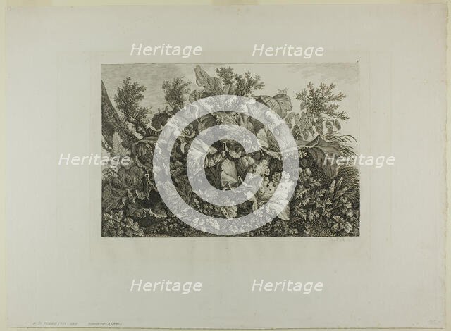 Swamp Plants, n.d. Creator: Carl Wilhelm Kolbe the elder.