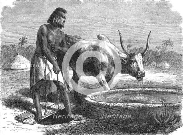 'Samhar peasant at a well; A journey through Soudan and Western Abyssinia..., 1875. Creator: Unknown.