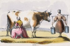 'Milk', c1845. Artist: Benjamin Waterhouse Hawkins