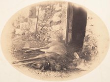 Dead Female Deer and Game Bird, ca. 1856-59. Creator: Horatio Ross.