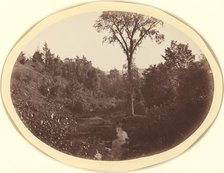 Landscape near Williams College, c. 1870. Creator: George K Warren.