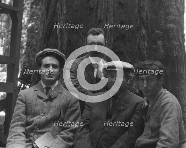 Sterling, George and Herman Scheffauer, with two other men, in front of a redwood, c1906-1911. Creator: Arnold Genthe.