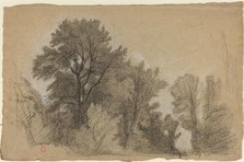 Edge of a Wood, c. 1840. Creator: Jean Achille Benouville.