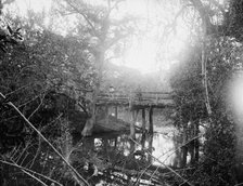 Bridge at Crucitas, between 1880 and 1897. Creator: William H. Jackson.