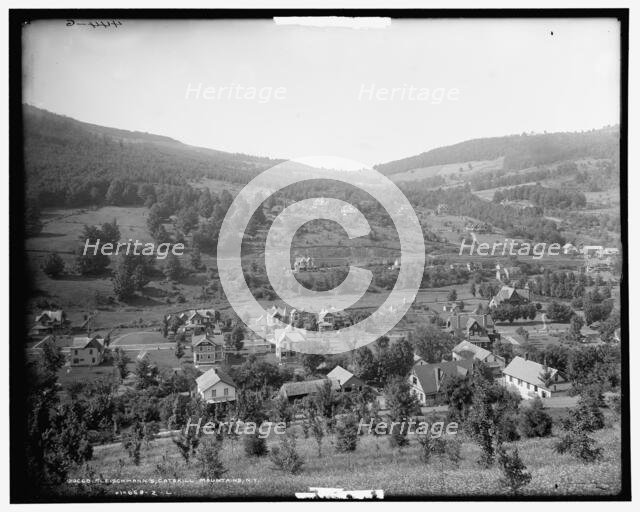 Fleischmann's, Catskill Mountains, N.Y., c1902. Creator: Unknown.
