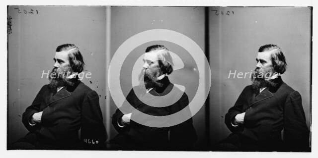 William Halstead of New Jersey, 1860-1865.  Creator: Unknown.