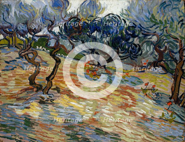 Olive Trees, 1889. Creator: Gogh, Vincent, van (1853-1890).