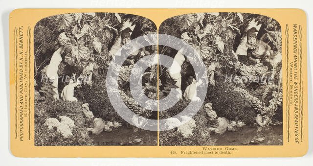 Frightened most to death, 1870/89. Creator: Henry Hamilton Bennett.