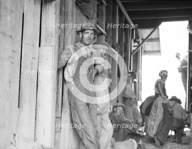 Farm hands - threshing day near Durham, North Carolina, 1936. Creator: Dorothea Lange.