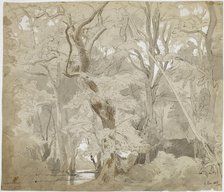 Grove Landscape, Copy after Schirmer, 1868. Creator: Oscar Kleineh.