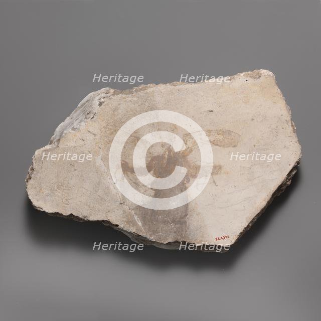 Wall painting fragment with winged figure, ca. A.D. 14-68. Creator: Unknown.