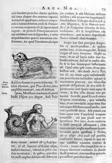 Mythical creatures, 1675.  Artist: Athanasius Kircher