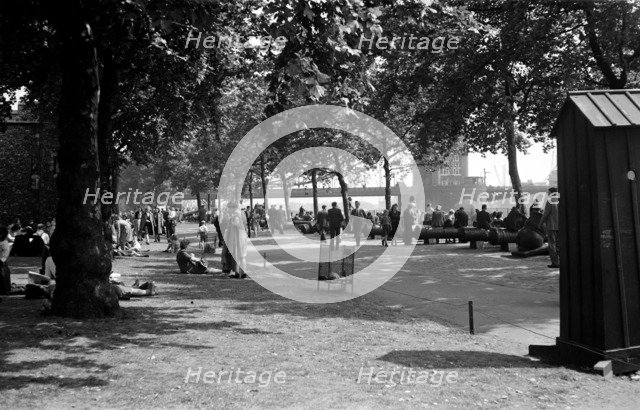 Tower Gardens, London, c1945-c1965. Artist: SW Rawlings