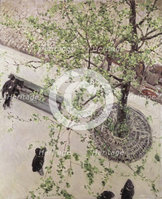 Boulevard Seen from Above, 1880.