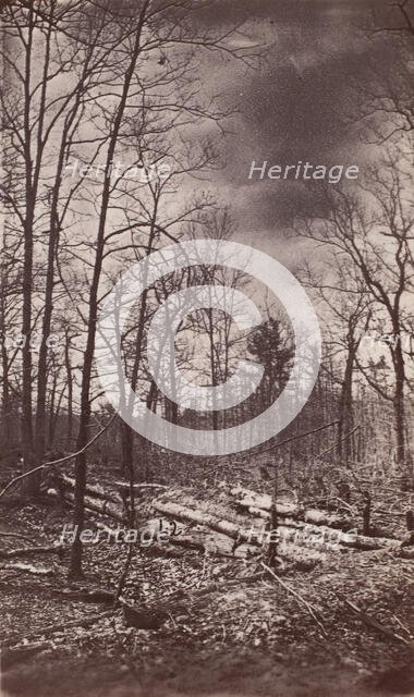 The Wilderness Battlefield, 1864. Creator: Unknown.