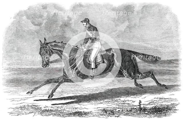 Rhedycina, Winner of the Oaks Stakes, at Epsom, 1850. Creator: Unknown.