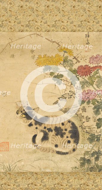 Cat under Chrysanthemums, 18th century. Creator: Anon.