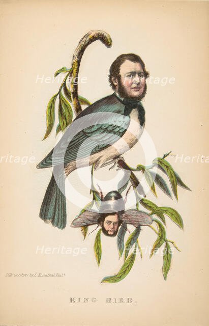 King Bird (Robert P. King and Alexander Baird), from The Comic Natural History of the Human..., 1851 Creators: Henry Louis Stephens, L. Rosenthal.