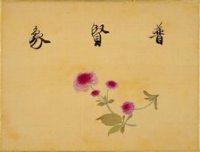 From the Sketch Book of Sakura (Cherry Blossoms), Between 1830 and 1853. Creator: Sakamoto, Konen (1800-1853).